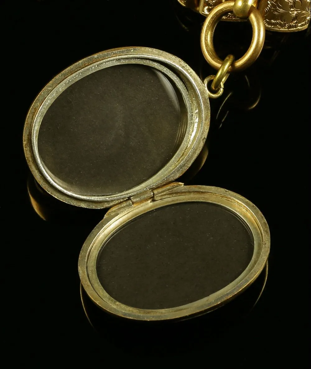 Antique Locket & Collar - Gold On Silver Circa 1880 - Grapes