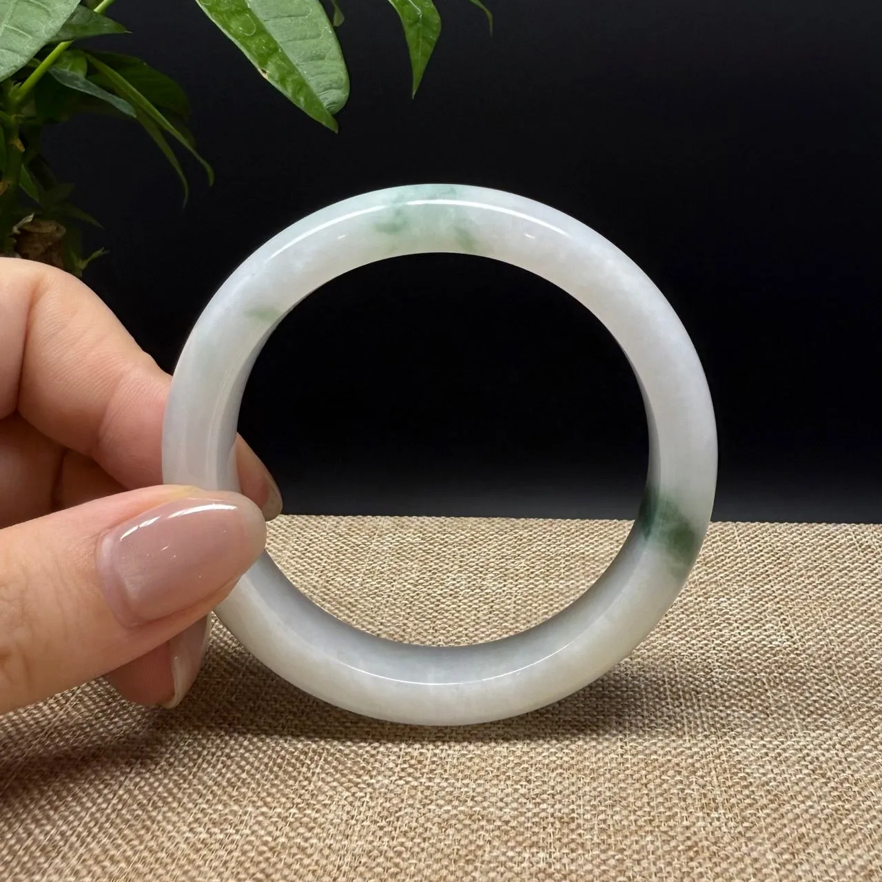 Genuine Burmese White Green Jade Jadeite Bangle Bracelet ( 53.6mm )