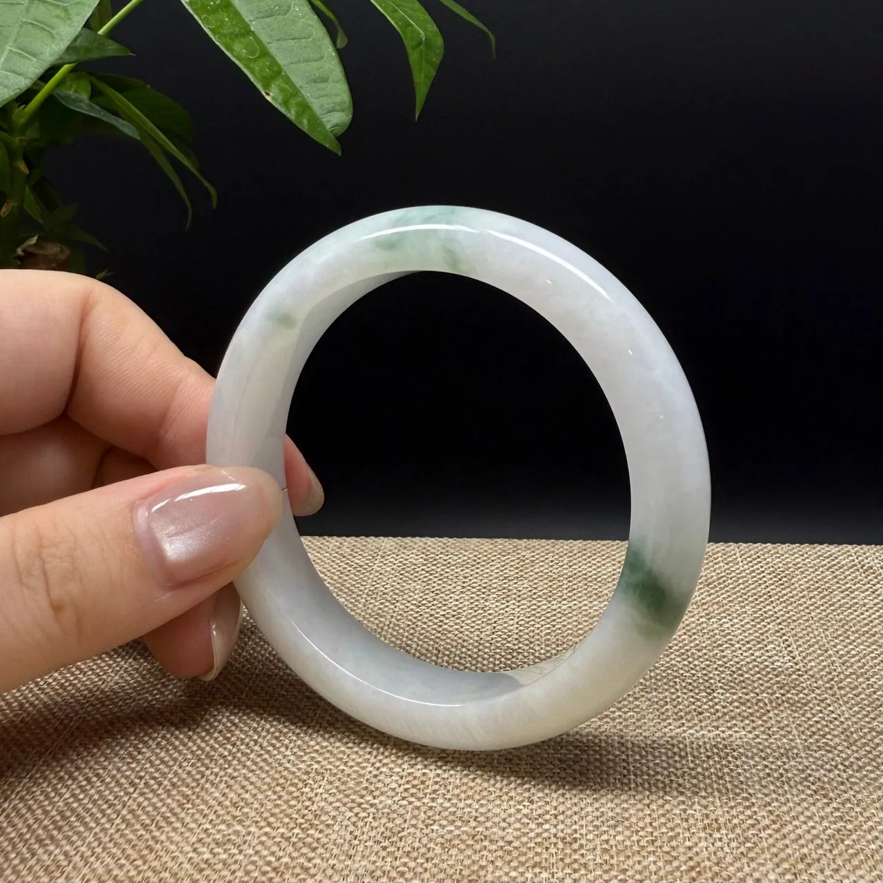 Genuine Burmese White Green Jade Jadeite Bangle Bracelet ( 53.6mm )