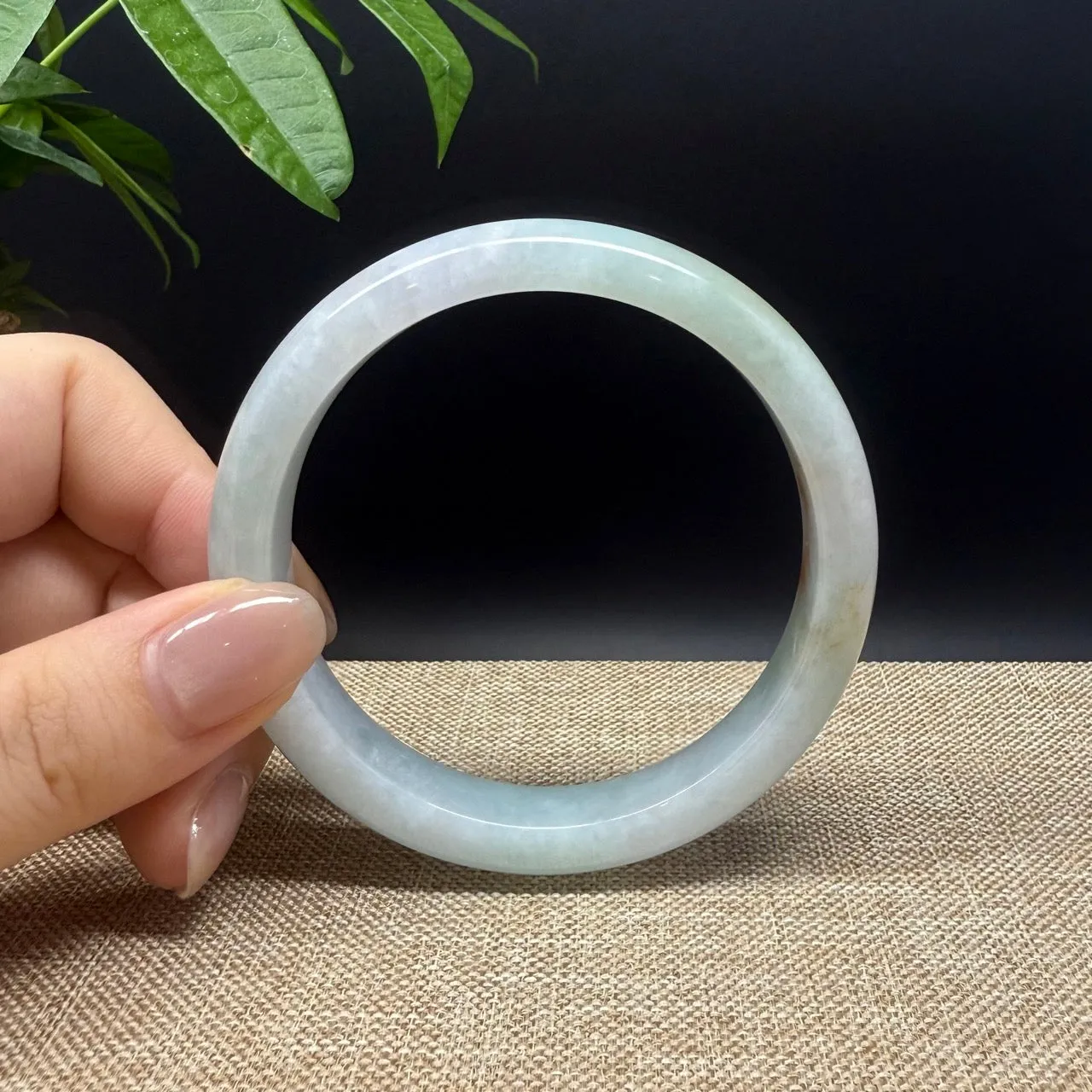 Genuine Burmese Yellow Green Jade Jadeite Bangle Bracelet ( 60.6mm )