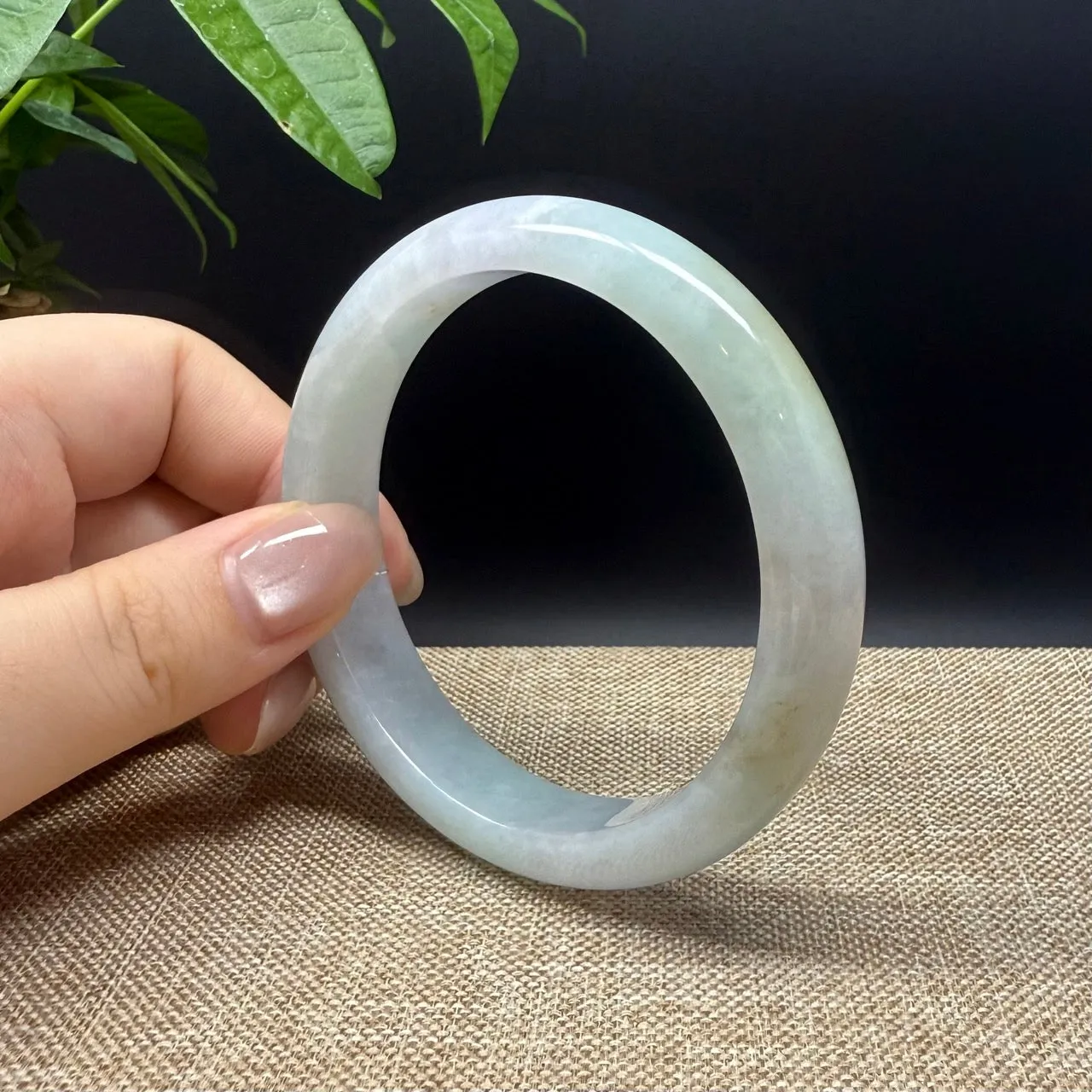 Genuine Burmese Yellow Green Jade Jadeite Bangle Bracelet ( 60.6mm )