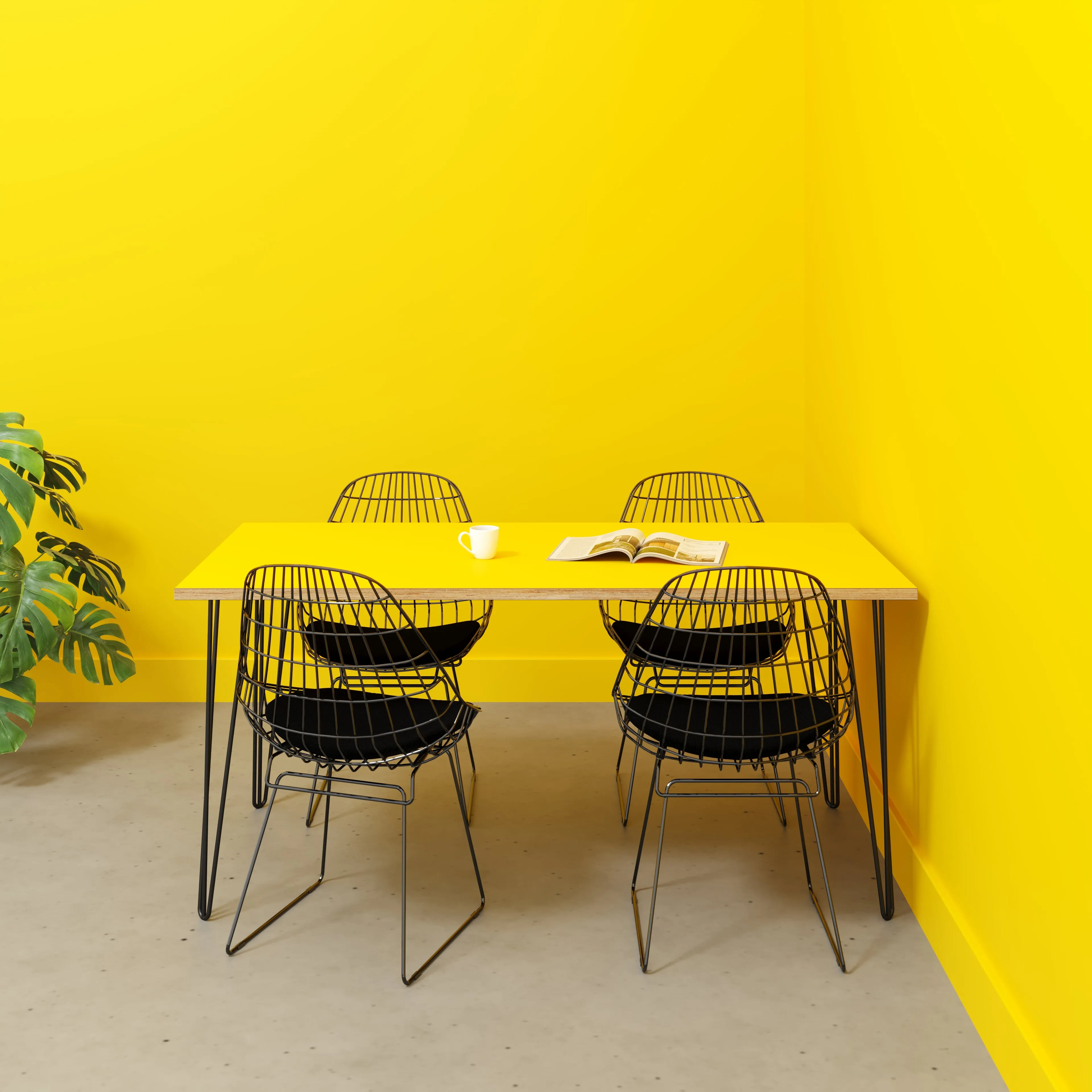 Plywood Table with Black Hairpin Legs - Formica Chrome Yellow - 1600(w) x 800(d)