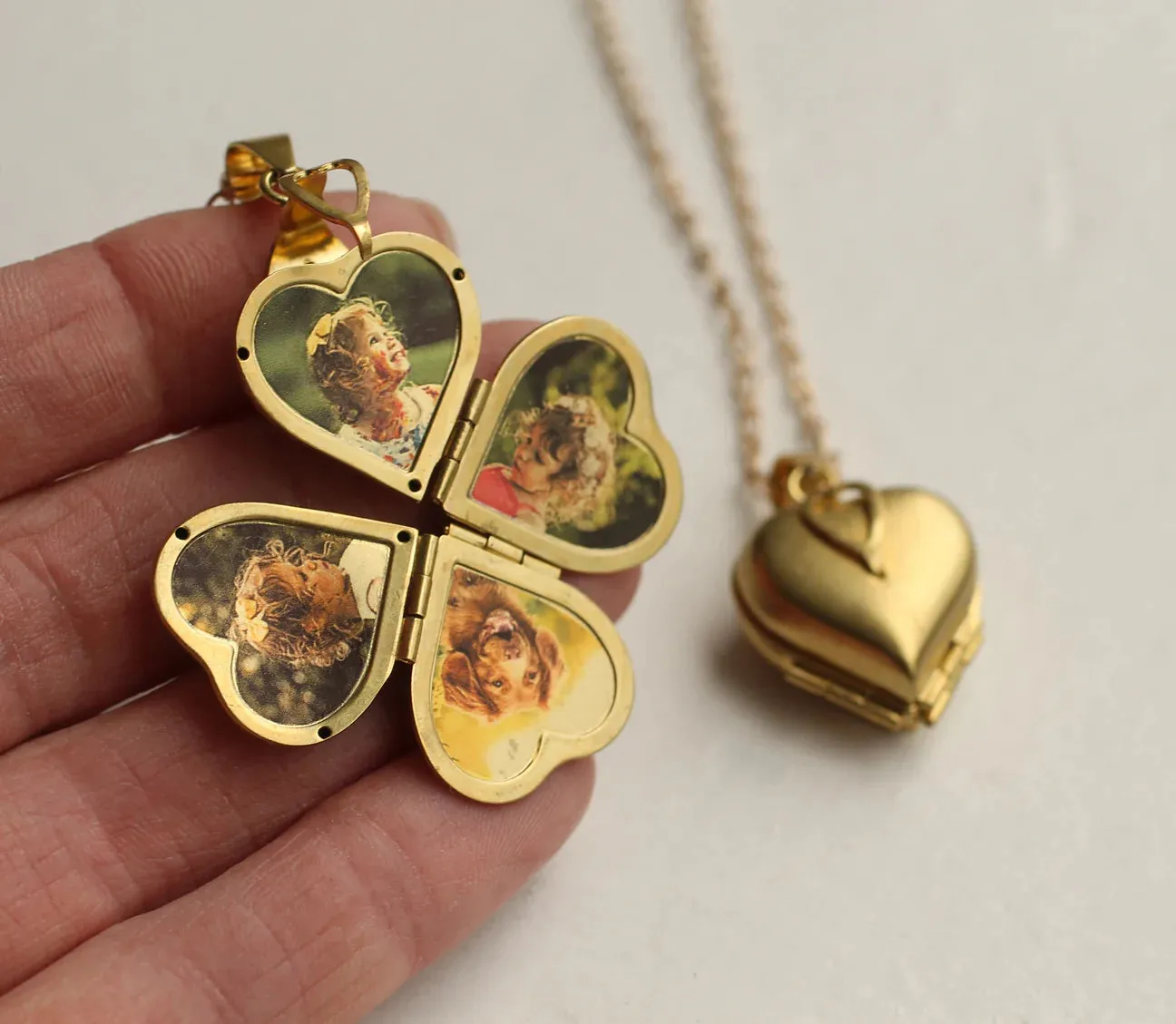 Silk Purse, Sow's Ear Friends & Family Locket
